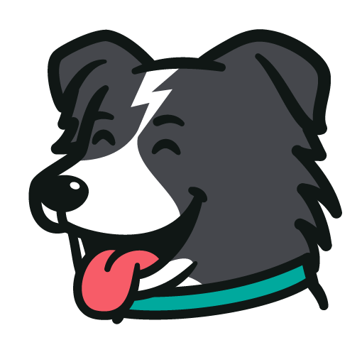 Flash mascot — cartoon grey and white border collie with lightning bolt forehead mark and teal collar